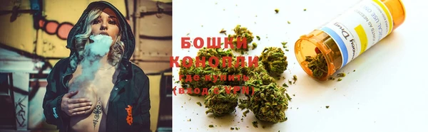 дурь Богданович