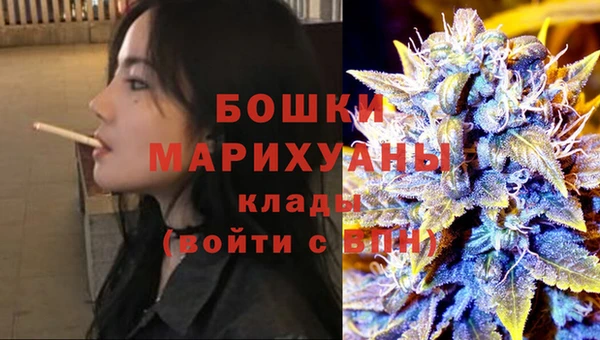 дурь Богданович