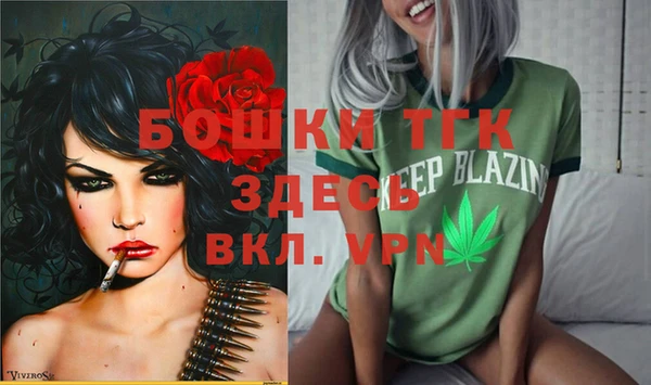 дурь Богданович