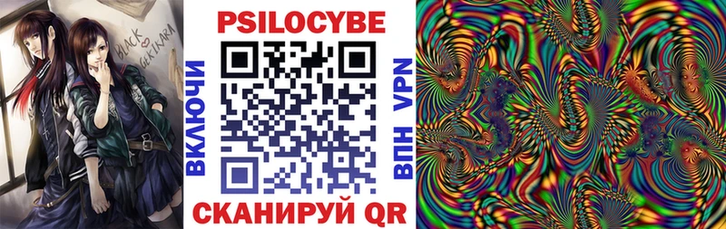 Галлюциногенные грибы MAGIC MUSHROOMS  Купить закладки  Камышлов 